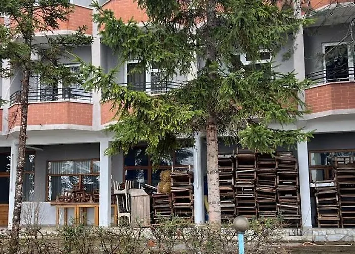 Te Bakja * Tushemisht