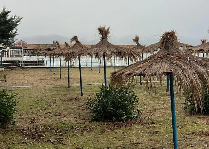 Te Bakja * Tushemisht